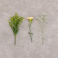 +act for flowers 600円 プラン