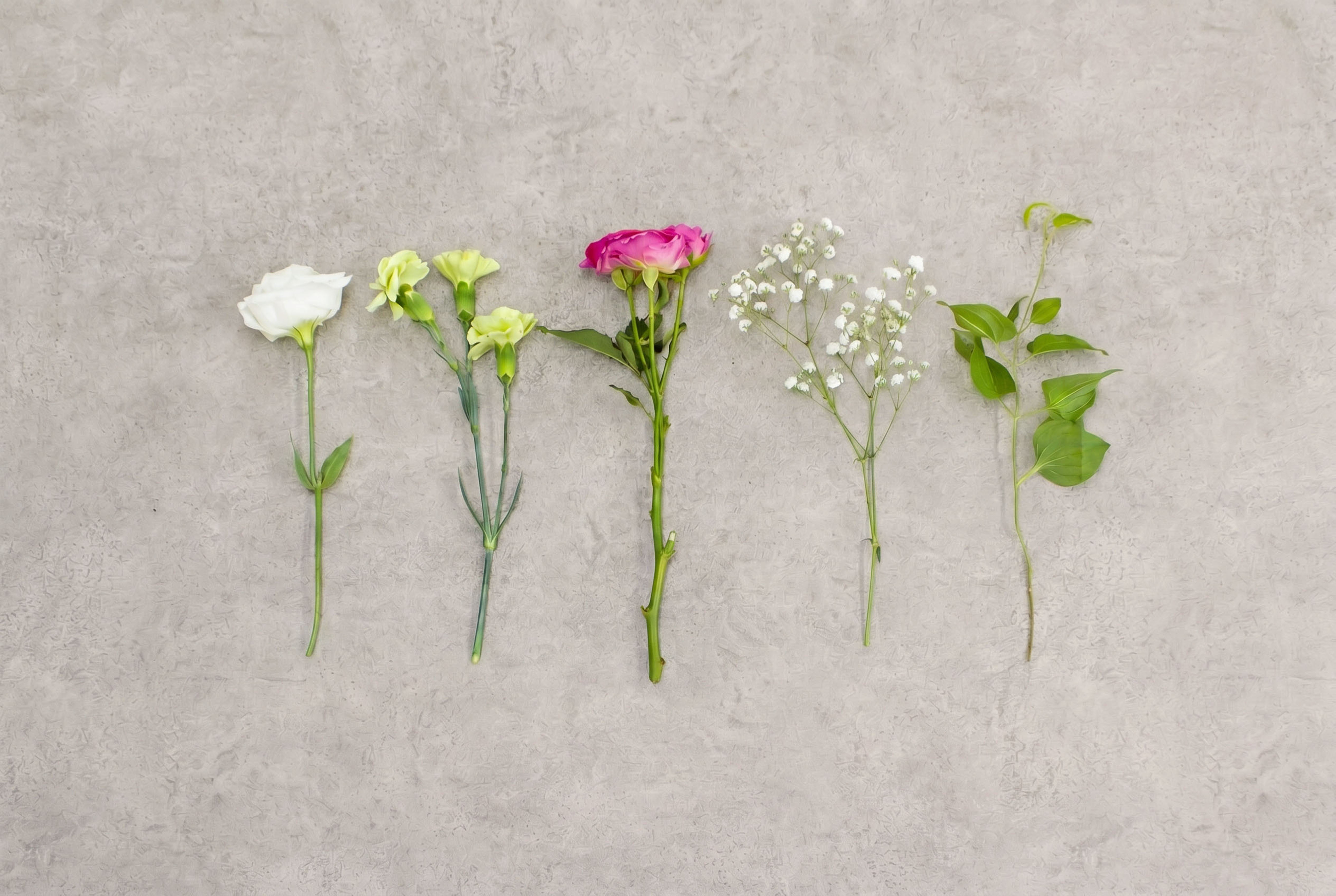+ live for flowersイメージ画像