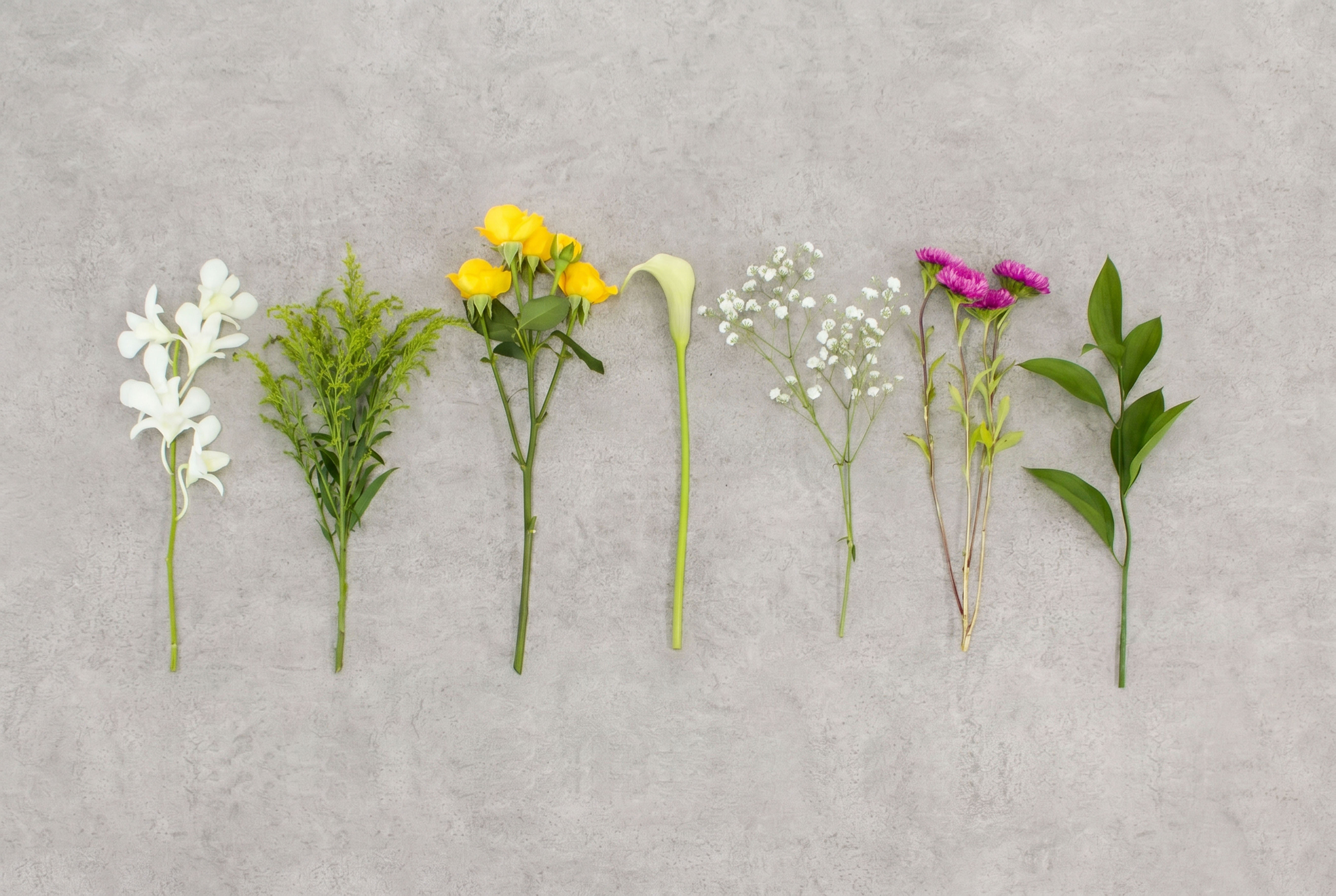 + feel for flowersイメージ画像