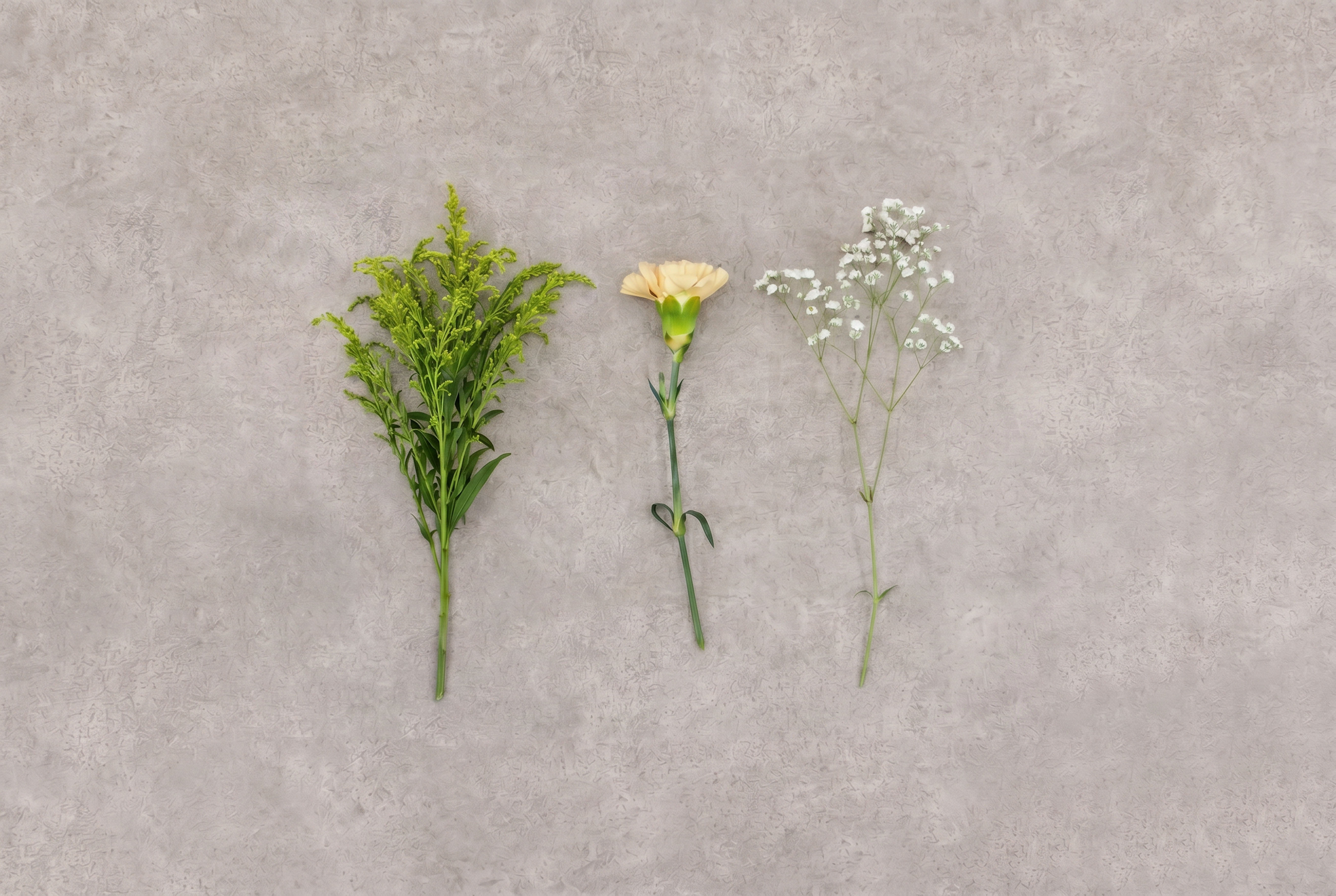 + act for flowersイメージ画像